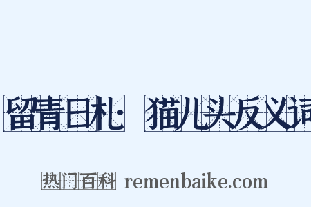留青日札·猫儿头反义词是什么意思的图片
